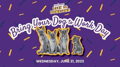 "Bring Your Pet to Work Day" on June 21 is celebrated in Downtown Spokane
